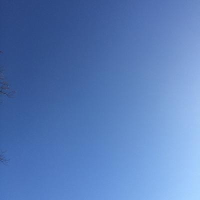 Autumn Gradient 2014-12-10 Takoma Park, MD