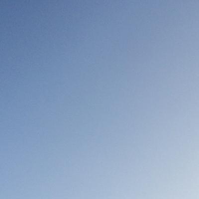 Autumn Gradient 2014-12-15 Takoma Park, MD