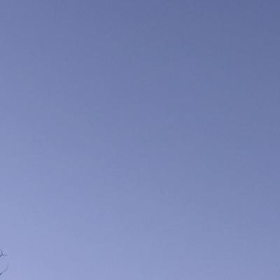 Winter Gradient 2016-03-16 Takoma Park, MD