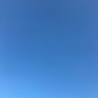 Winter Gradient 2017-01-30 Takoma Park, MD