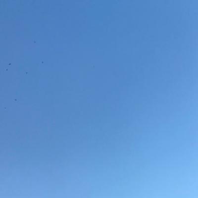 Spring Gradient 2017-04-17 Takoma Park, MD