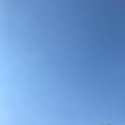 Spring Gradient 2017-06-03 Silver Spring, MD