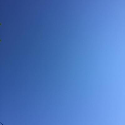 Summer Gradient 2017-06-21 Takoma Park, MD