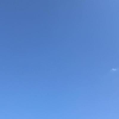 Summer Gradient 2017-09-04 Takoma Park, MD