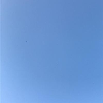 Summer Gradient 2017-09-18 Takoma Park, MD