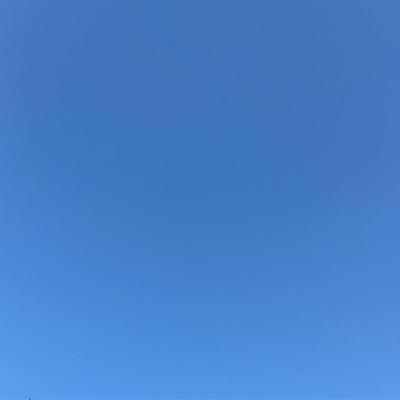 Winter Gradient 2018-02-03 Tenleytown, DC