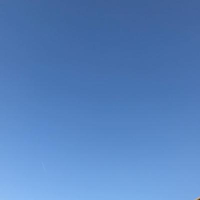 Spring Gradient 2018-04-12 Forest Glen, MD
