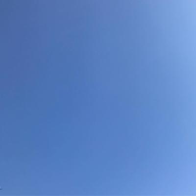 Spring Gradient 2018-04-18 Thomas Circle, DC