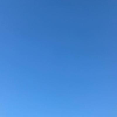 Winter Gradient 2019-01-28 Takoma Park, MD