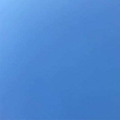 Winter Gradient 2019-02-24 Takoma Park, MD