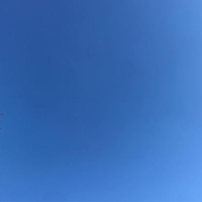 Winter Gradient 2019-03-16 Cleveland Park, DC