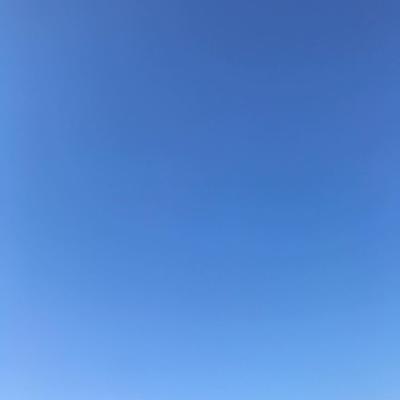 Spring Gradient 2019-04-23 Takoma Park, MD