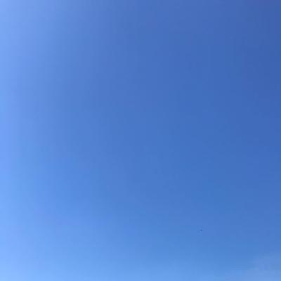 Summer Gradient 2019-08-30 Bethany Beach, DE