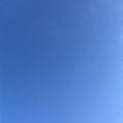 Summer Gradient 2019-09-03 Takoma Park, MD