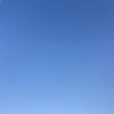Autumn Gradient 2019-09-24 Takoma Park, MD