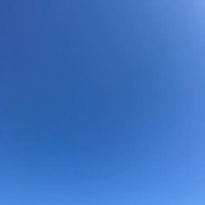 Autumn Gradient 2019-09-27 Brunswick, ME