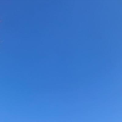 Winter Gradient 2020-01-12 Rockville, MD
