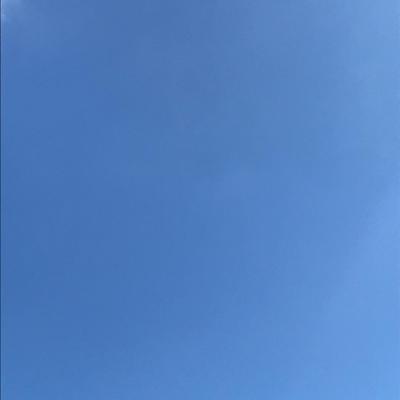 Spring Gradient 2020-03-26 Hyattsville, MD