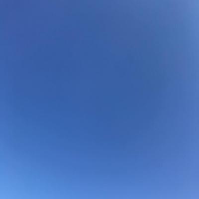 Spring Gradient 2020-05-15 Takoma Park, MD
